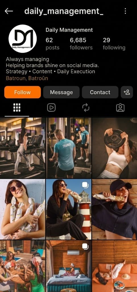 Instagram profile preview
